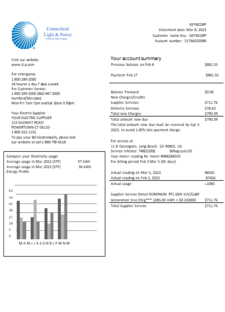 Download Connecticut Light & Power electricity utility business bill,  SCR Photoshop template